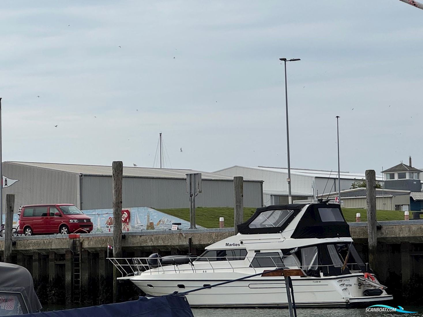 Neptunus 138 Sedan Fly