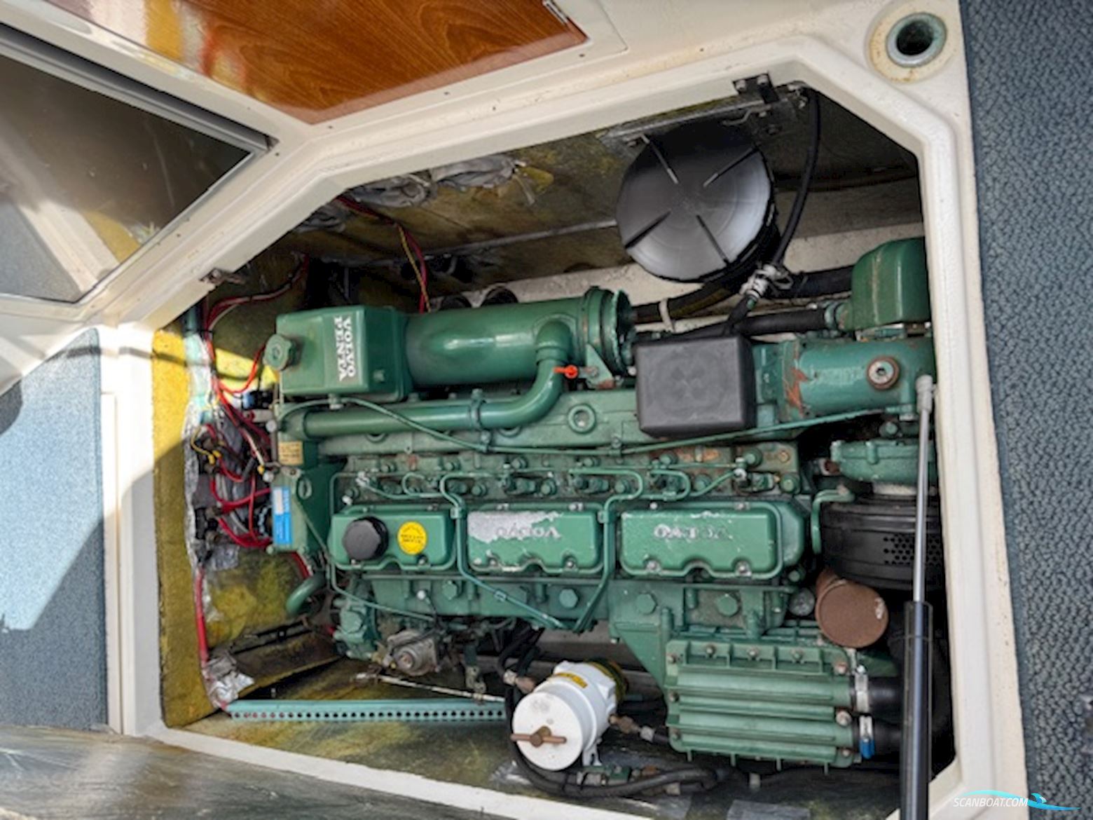 Nimbus Ultima 31