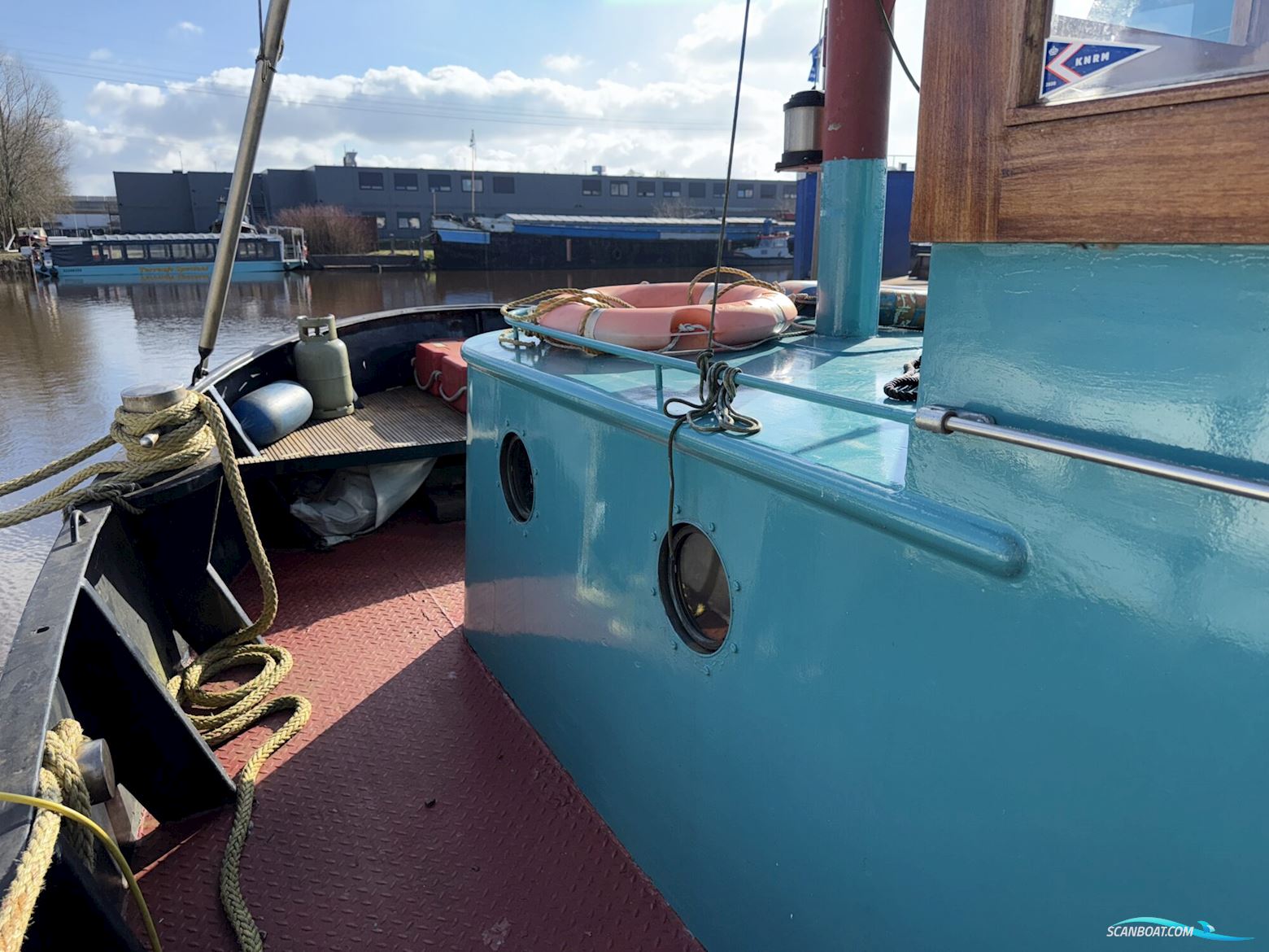 Noordzeekotter ‘WR 134’