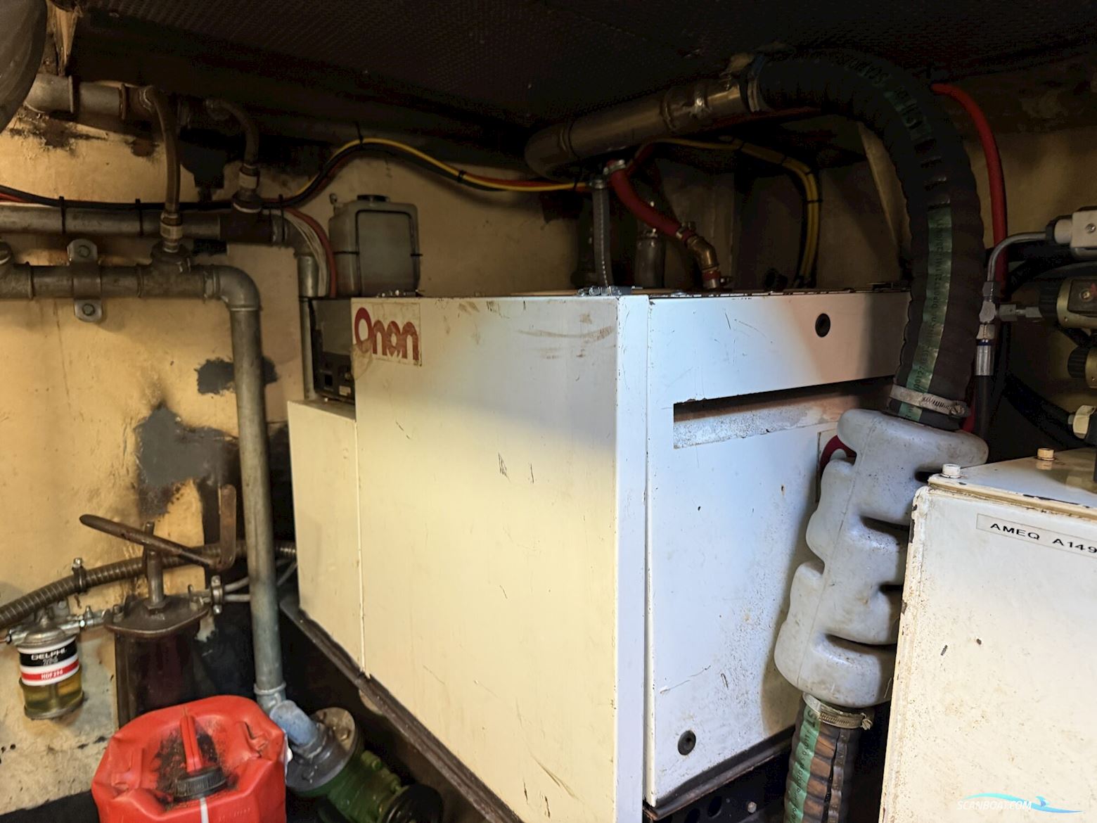 Noordzeekotter ‘WR 134’