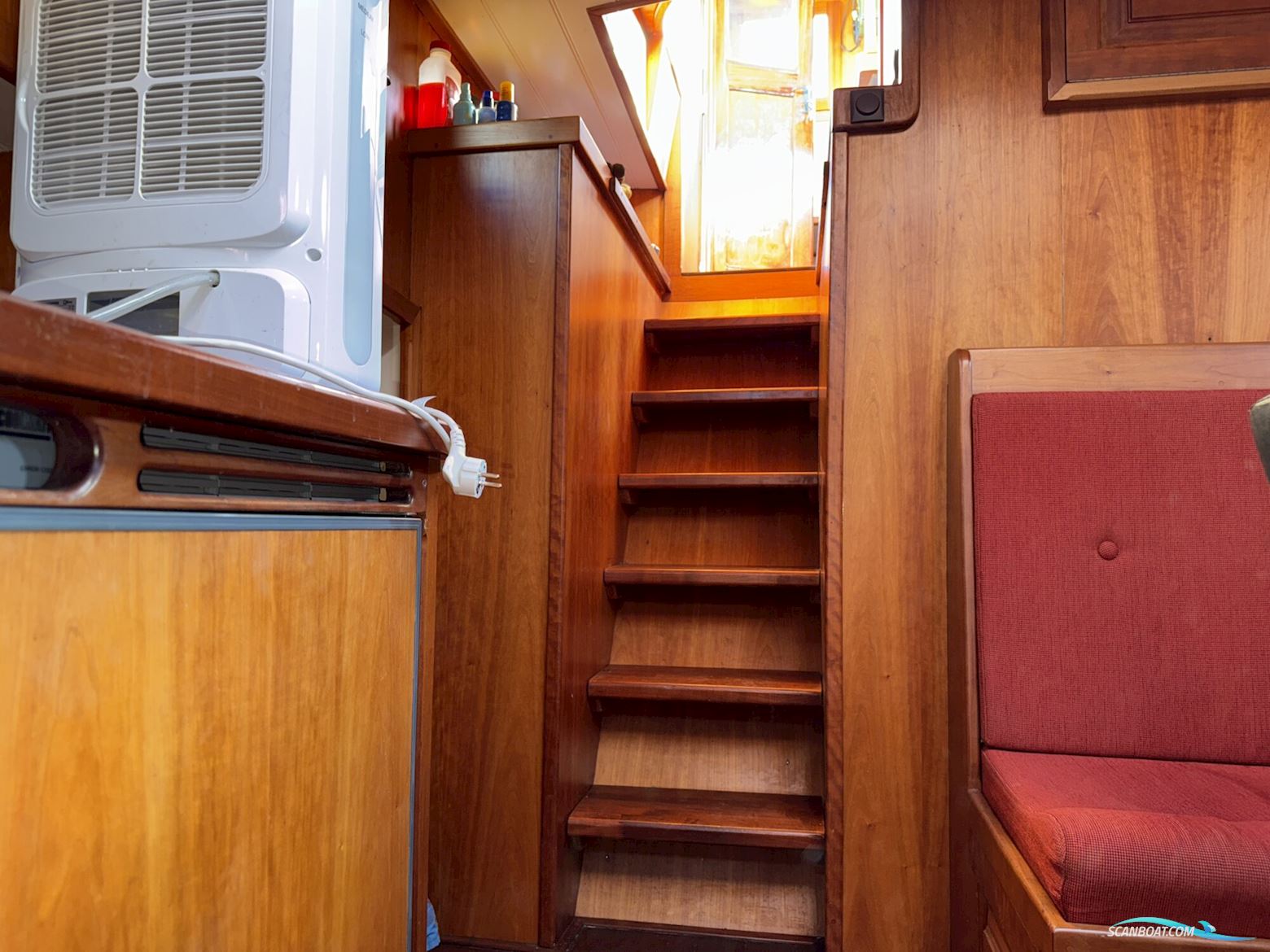 Noordzeekotter ‘WR 134’