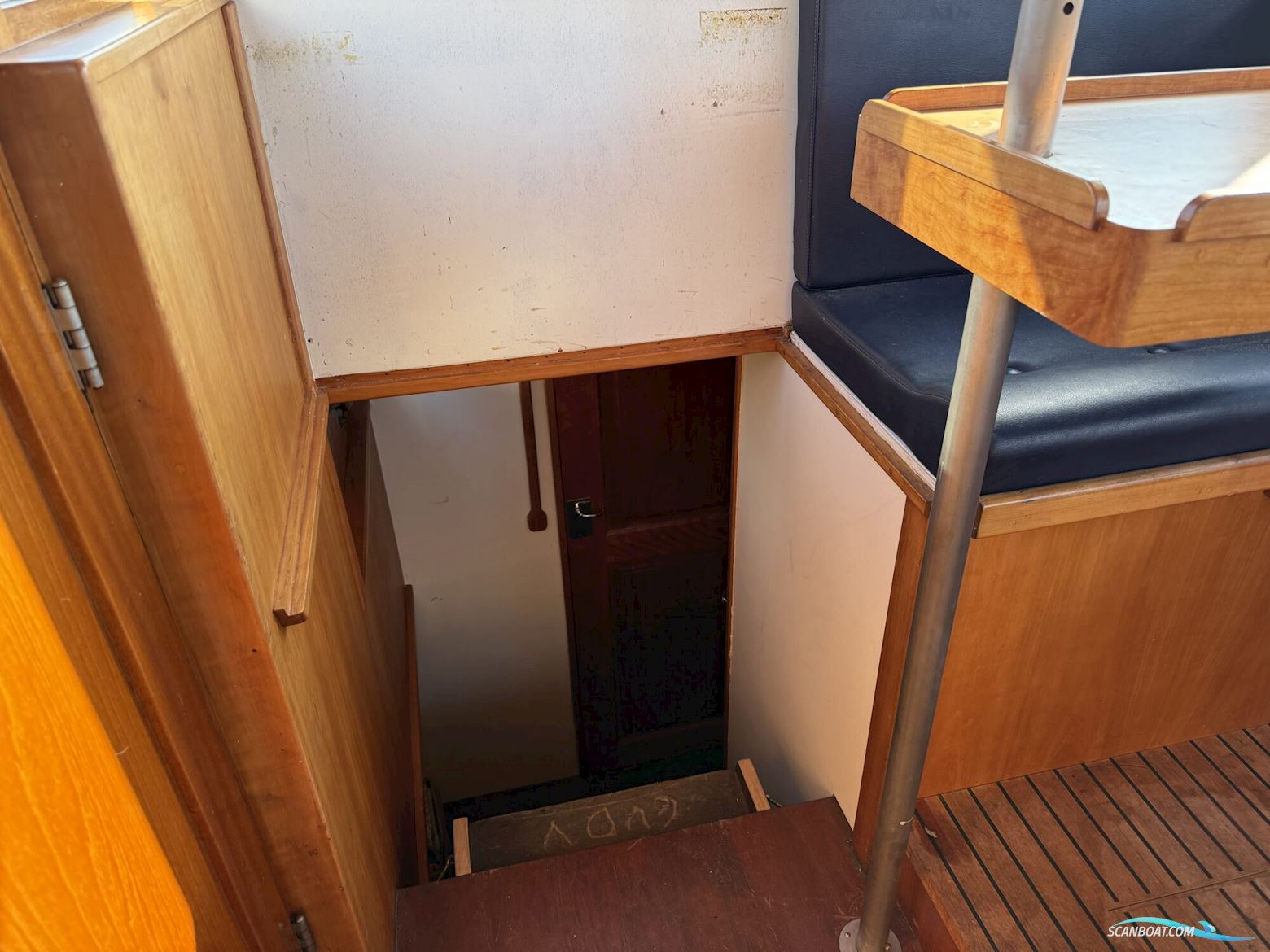 Noordzeekotter ‘WR 134’