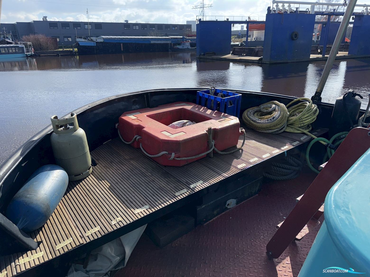 Noordzeekotter  ‘WR 134’