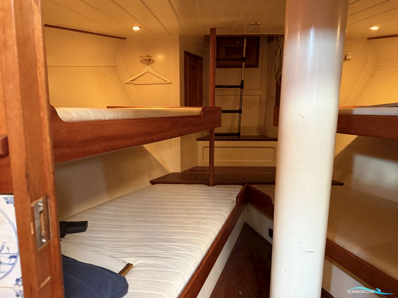 Noordzeekotter  ‘WR 134’