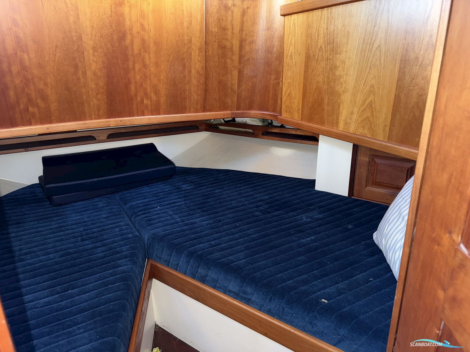 Noordzeekotter  ‘WR 134’