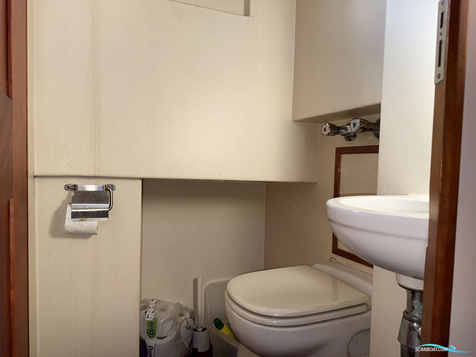 Noordzeekotter  ‘WR 134’