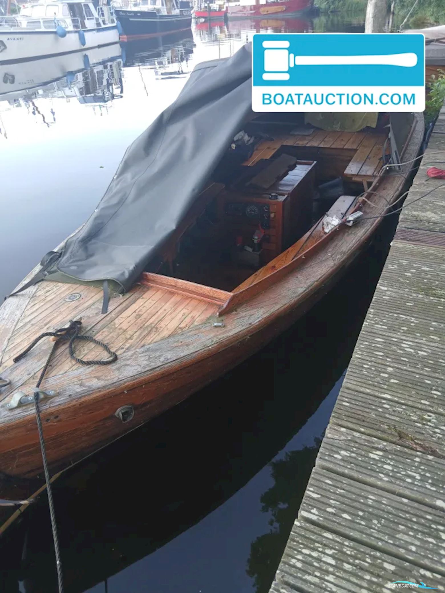 Noorse Spitsgatter 720