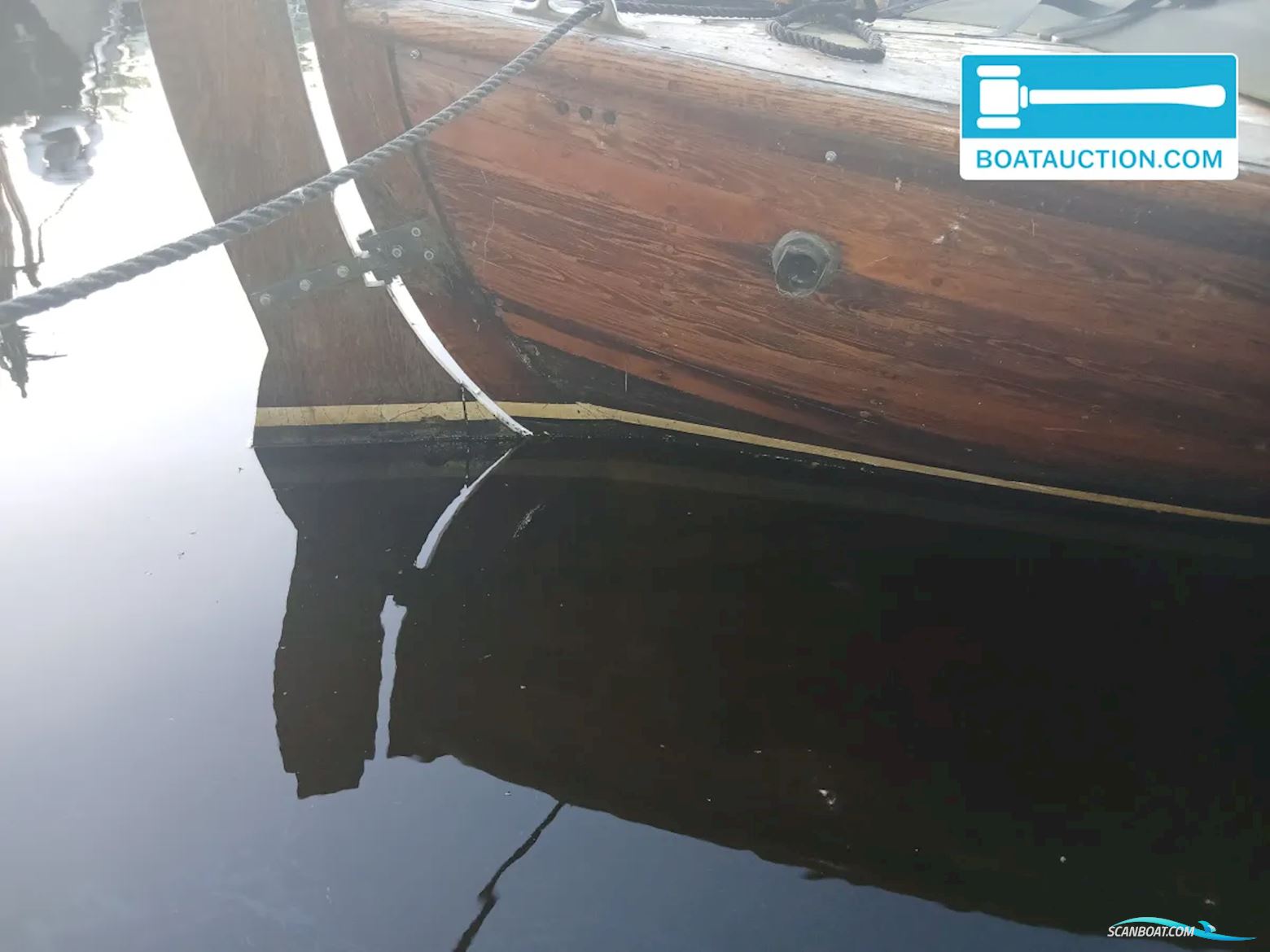 Noorse Spitsgatter 720