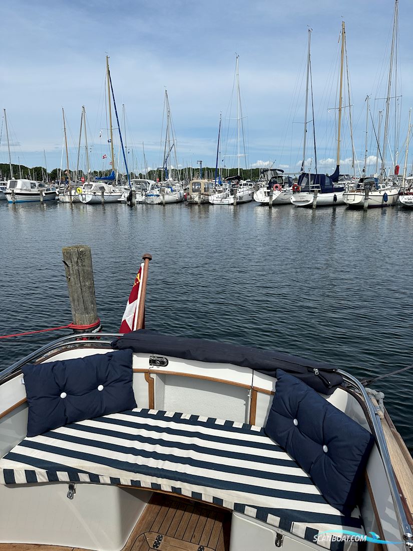 Nordic cruiser