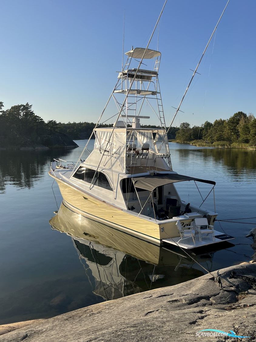 Ocean 48 Sport Fish