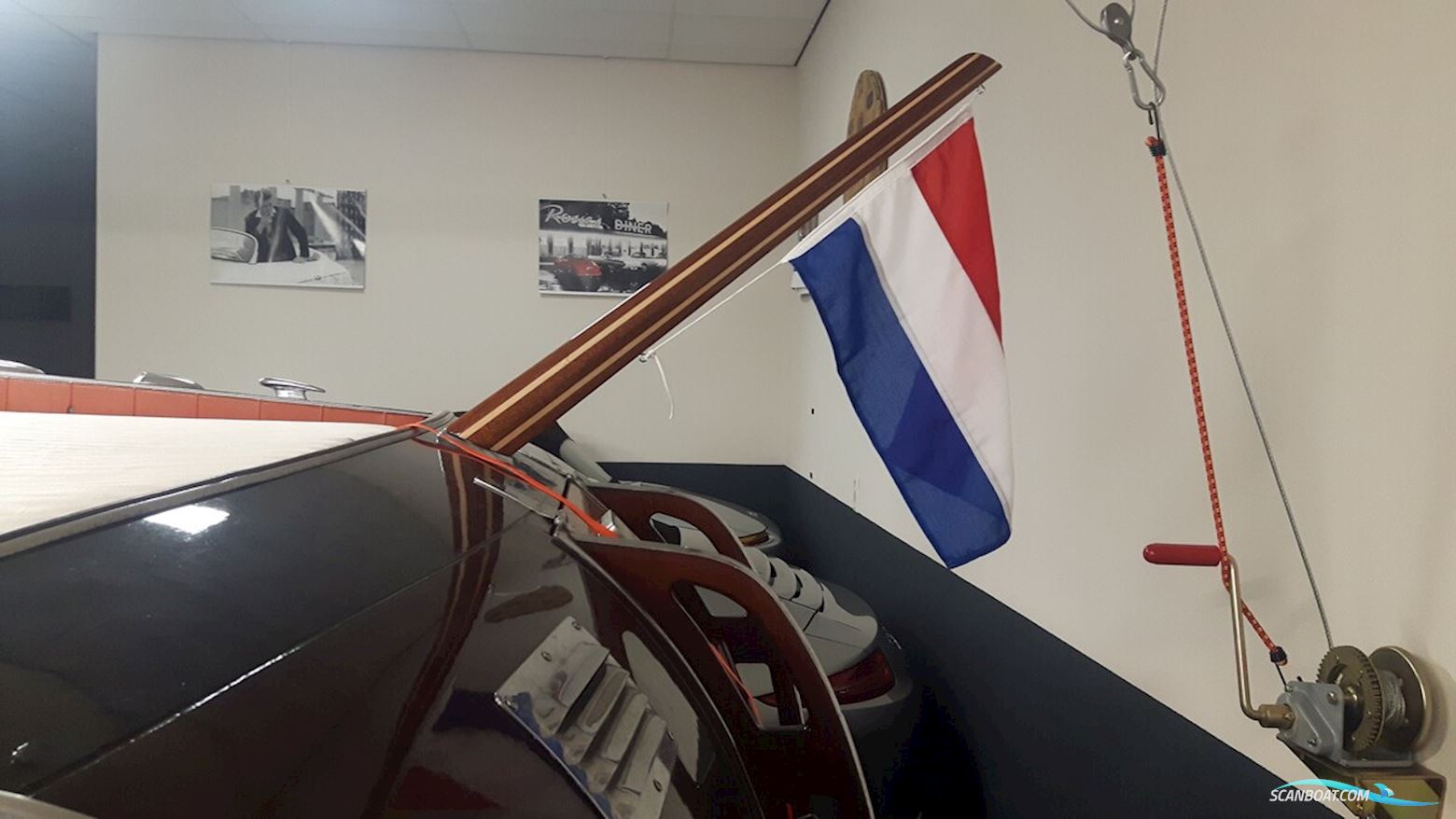 Pedrazzini Cavallino 570