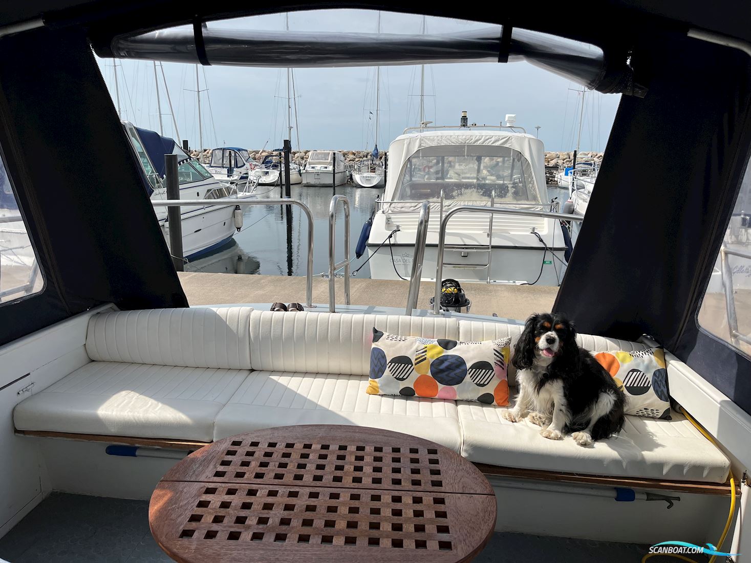 Polaris 36
