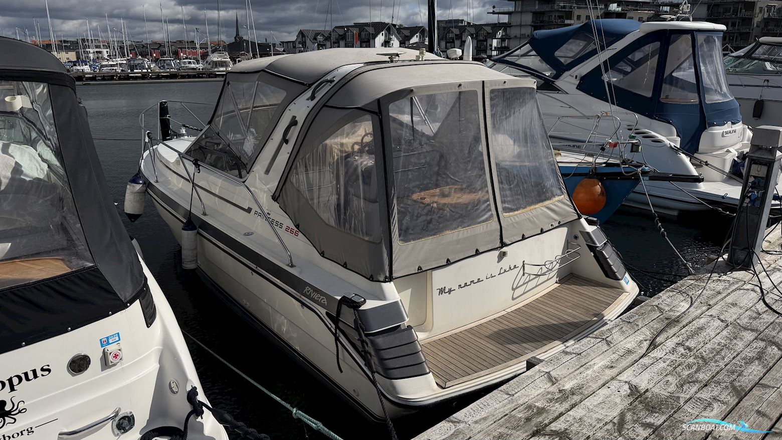 Princess 266 Riveria