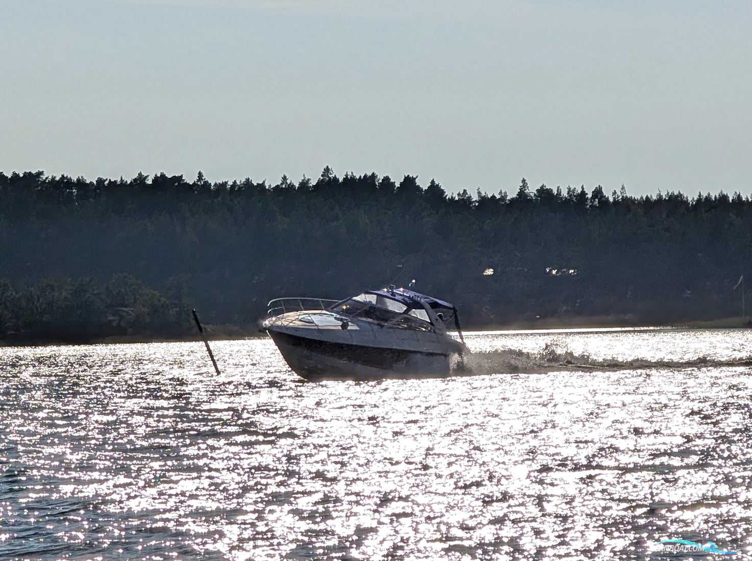 Princess V42