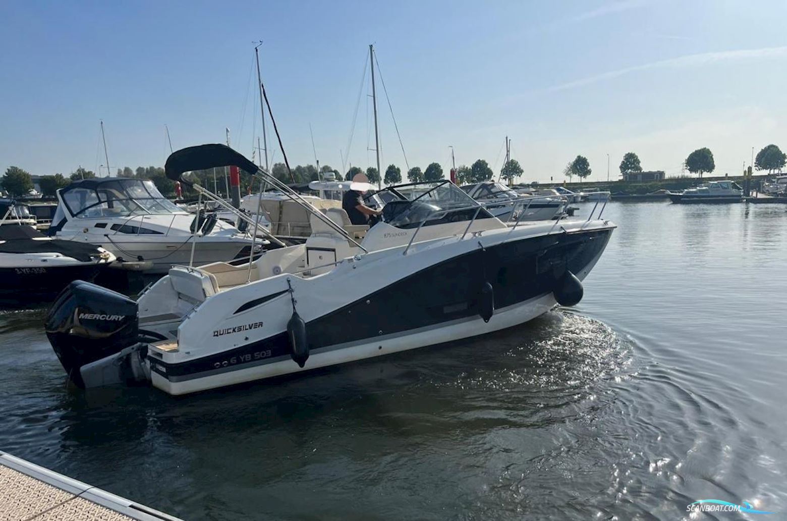 Quicksilver 875 Activ Sundeck Airco Motorbåt 2019, med Mercury motor, Holland