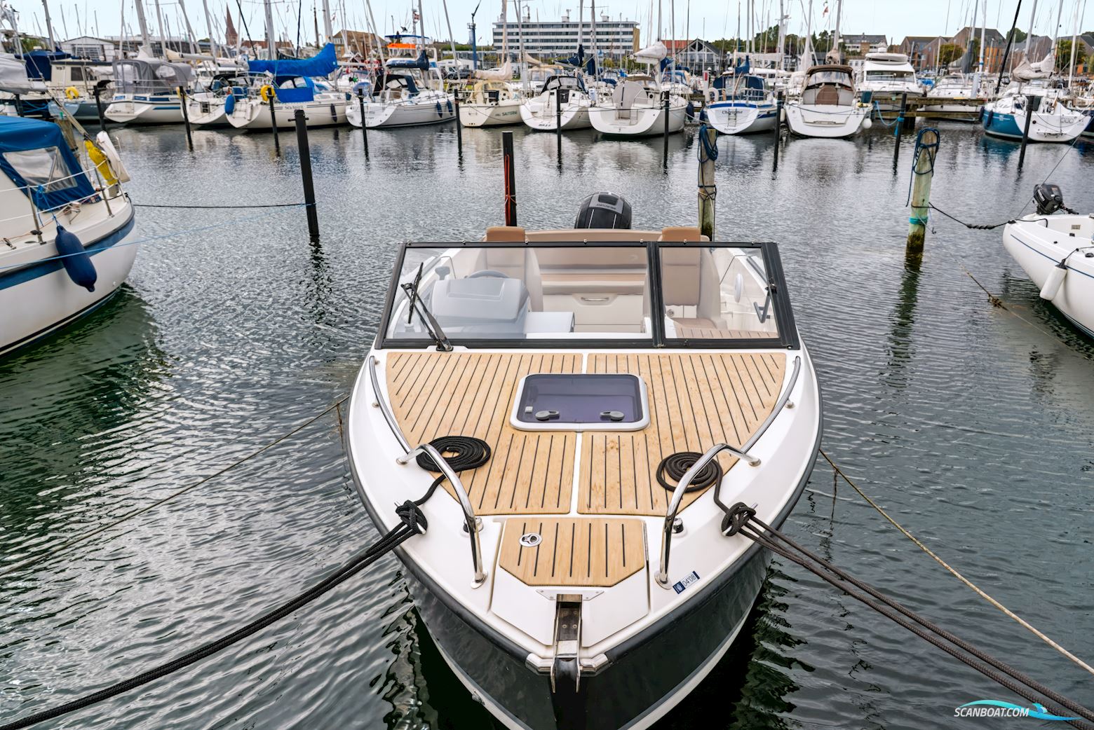 Quicksilver Activ 605 d