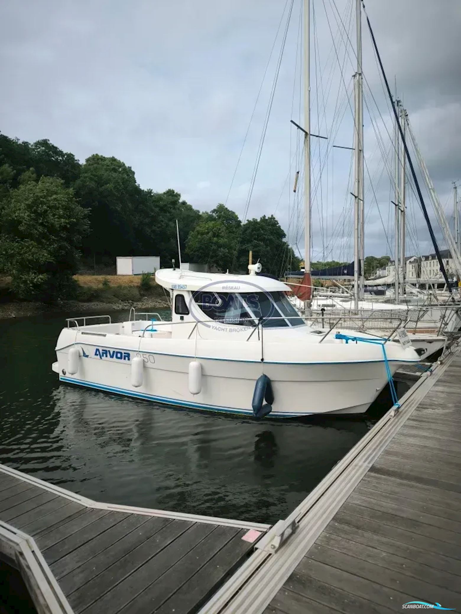Quicksilver ARVOR 250