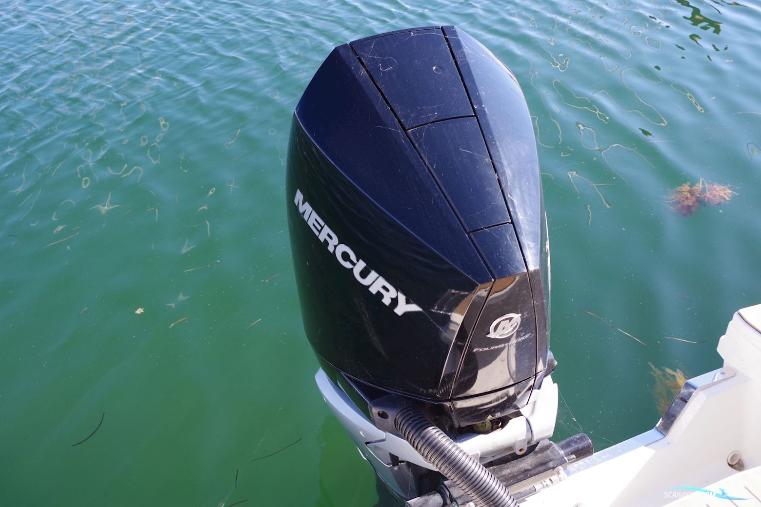 Quicksilver Quicksilver Activ 805 Cruiser