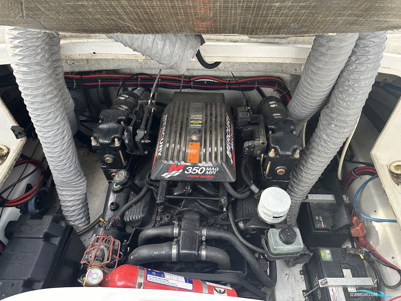 Regal 2450 Cuddy