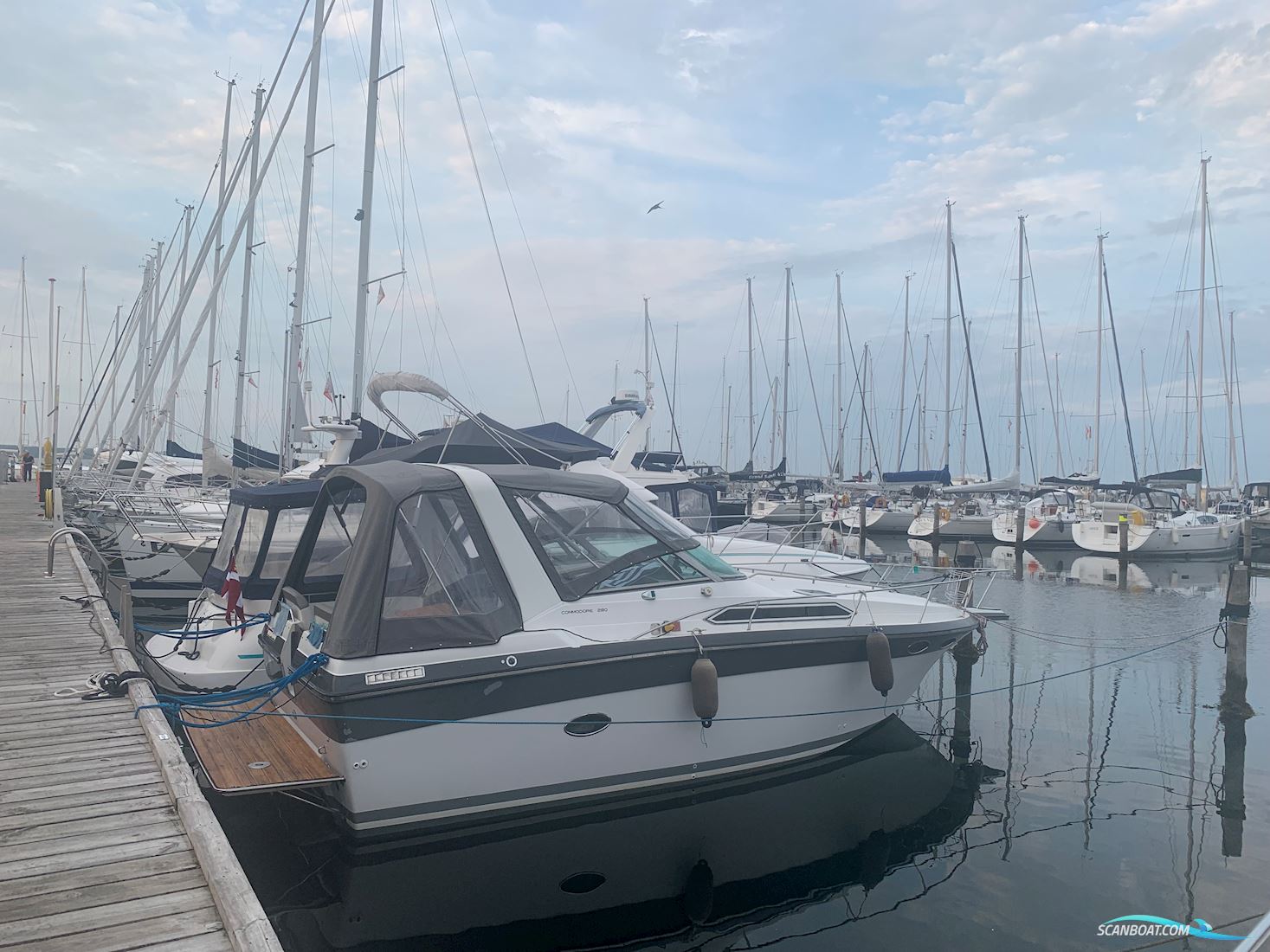 Regal Commodore 280 Motorbåt 1989, med Volvo Penta KAD 300A  motor, Danmark