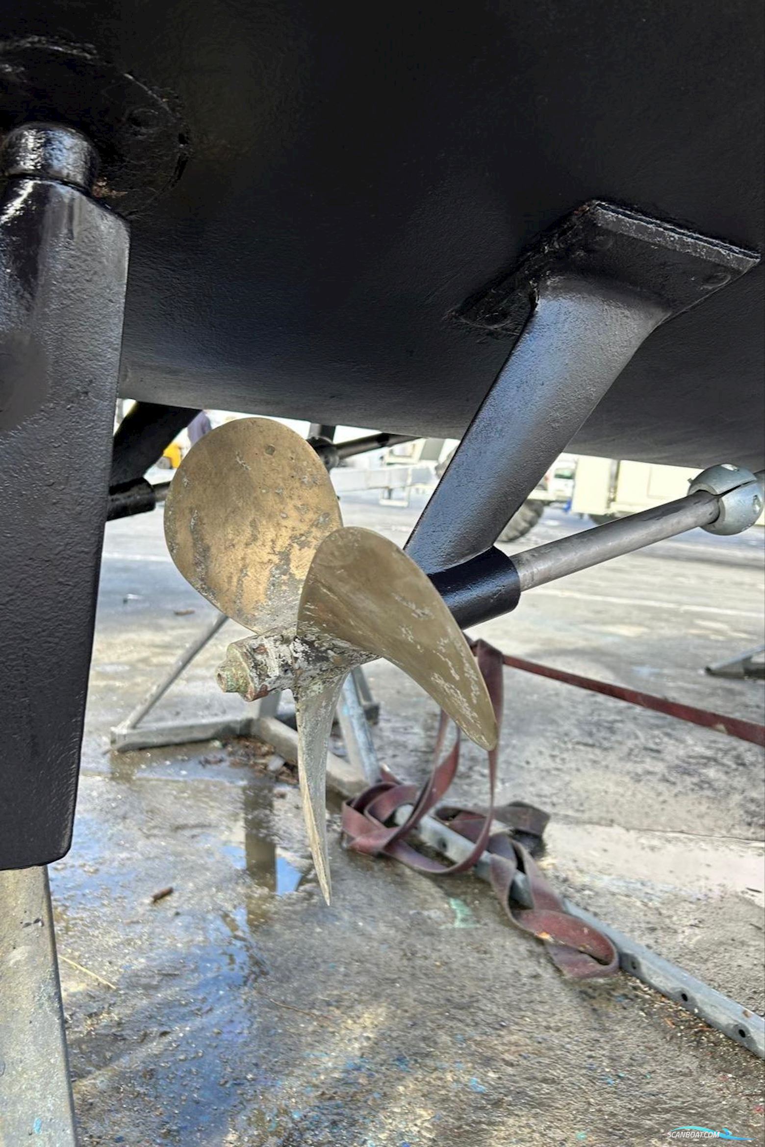 Riva Betram Sport Fish 25