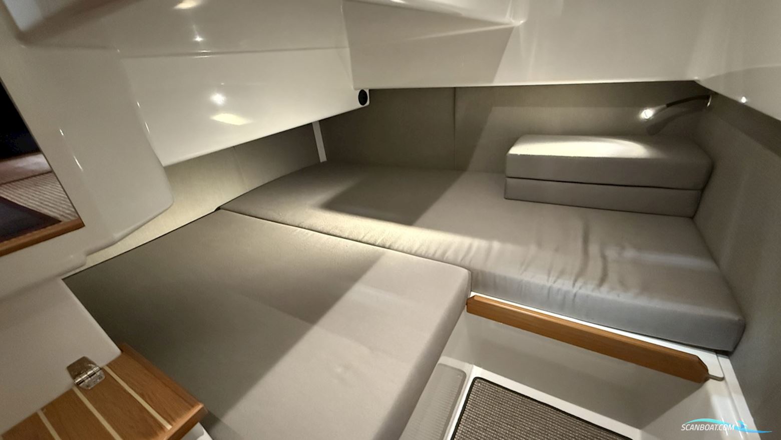 Sargo 28