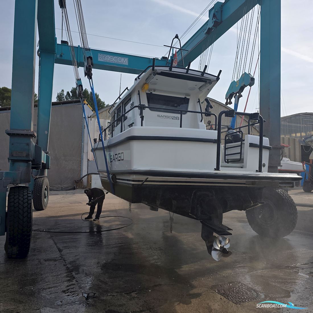 Sargo 28