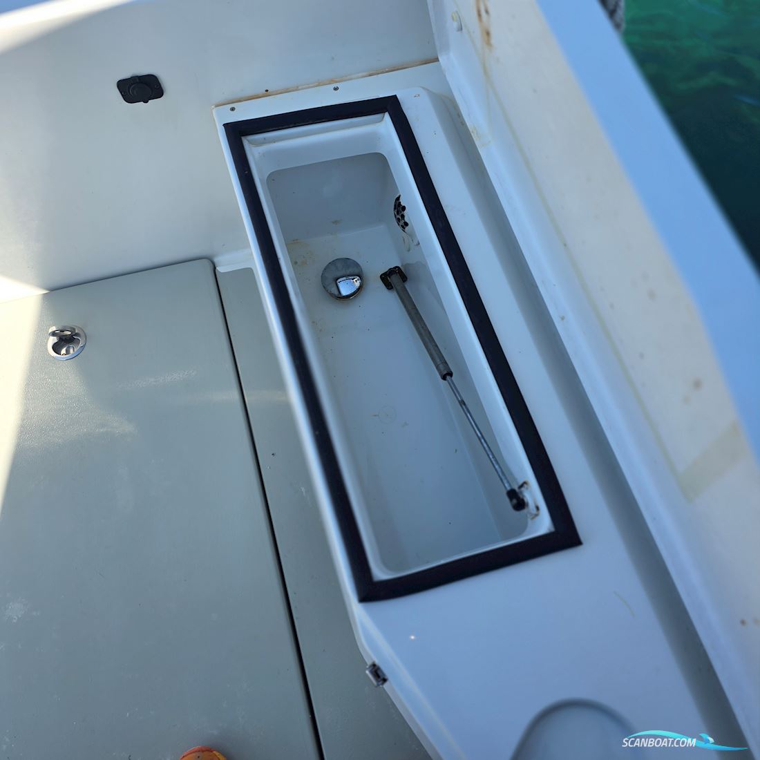 Sargo 28
