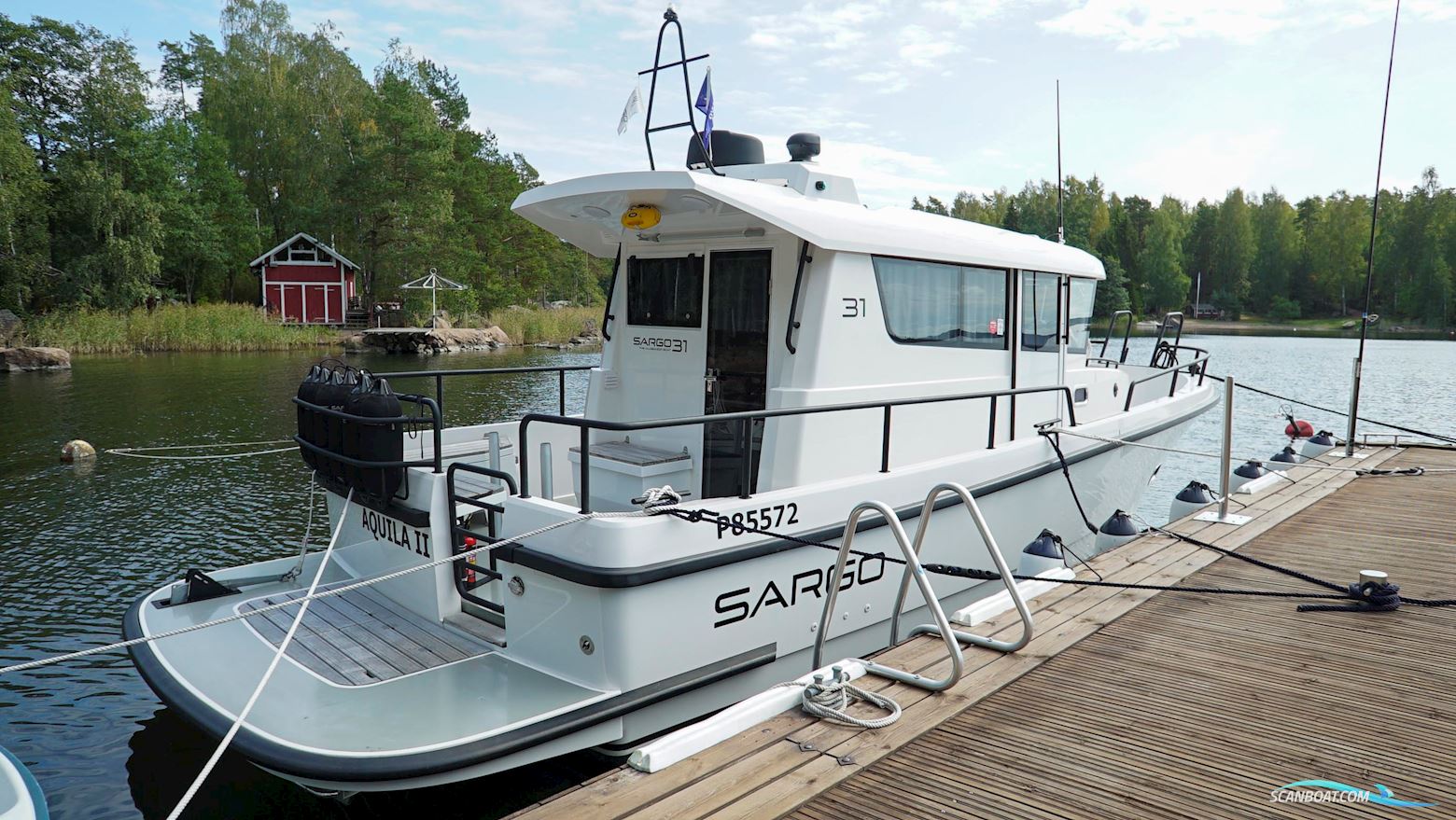 Sargo 31