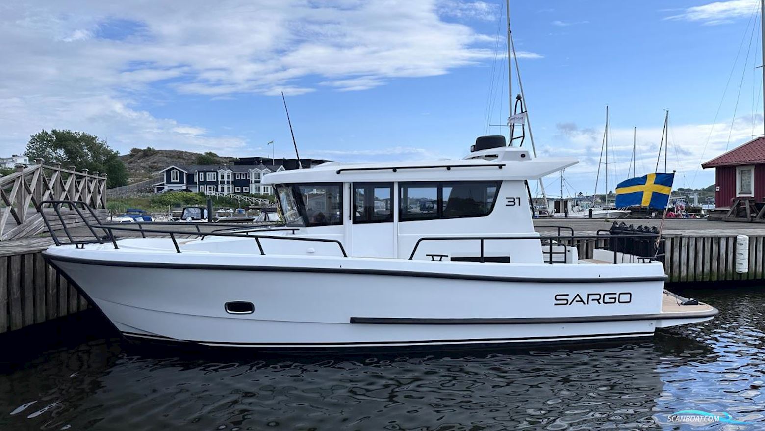 Sargo 31