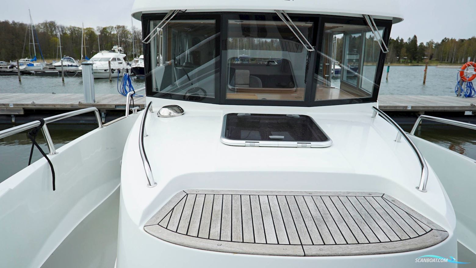 Sargo 31