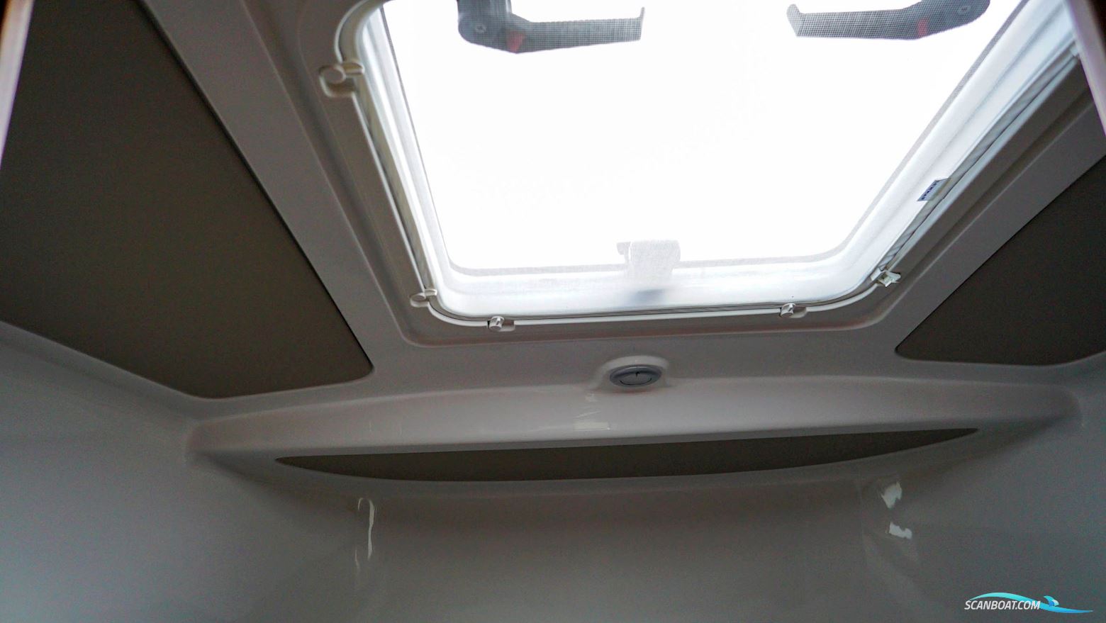 Sargo 31