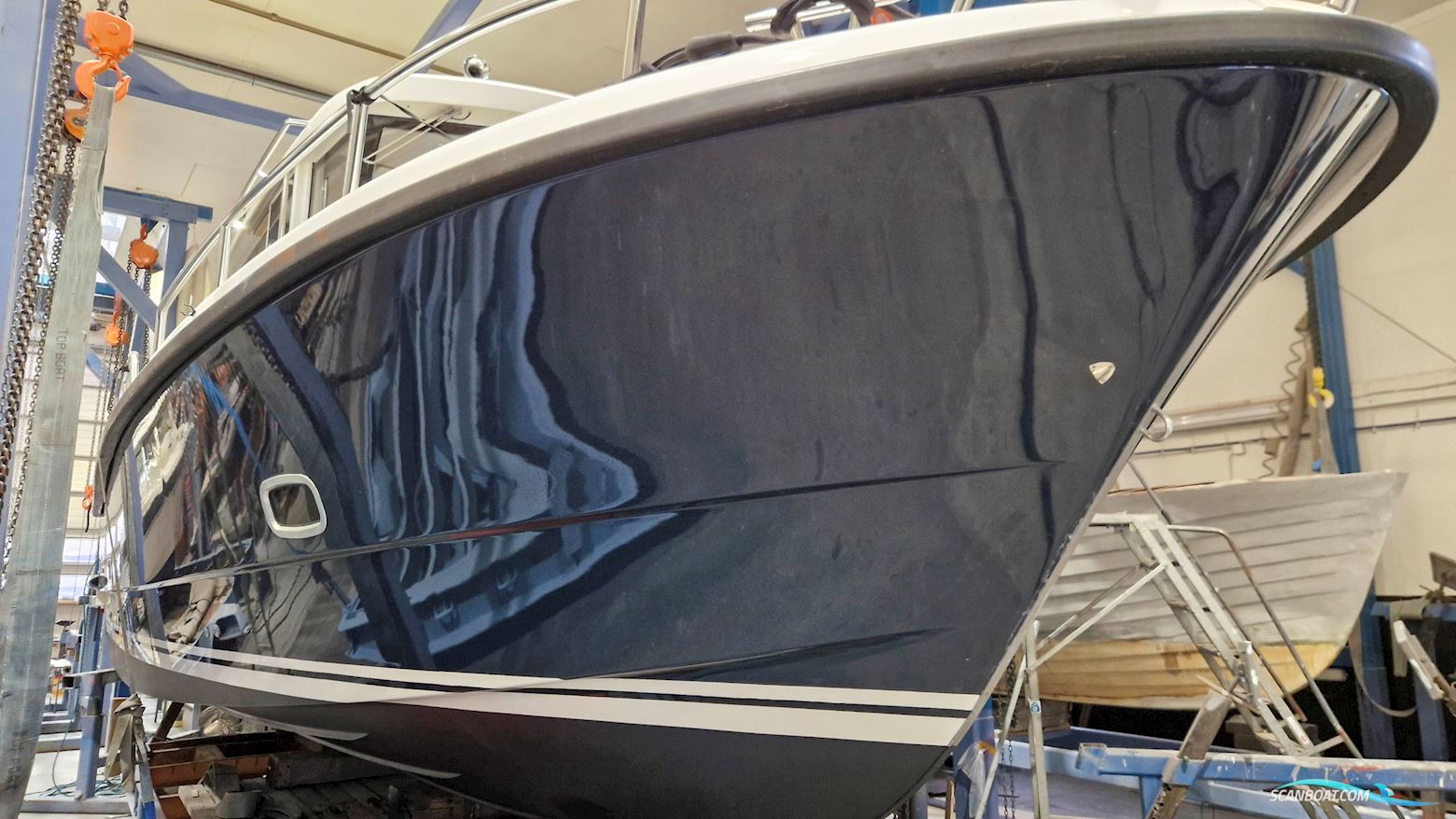 Sargo 31