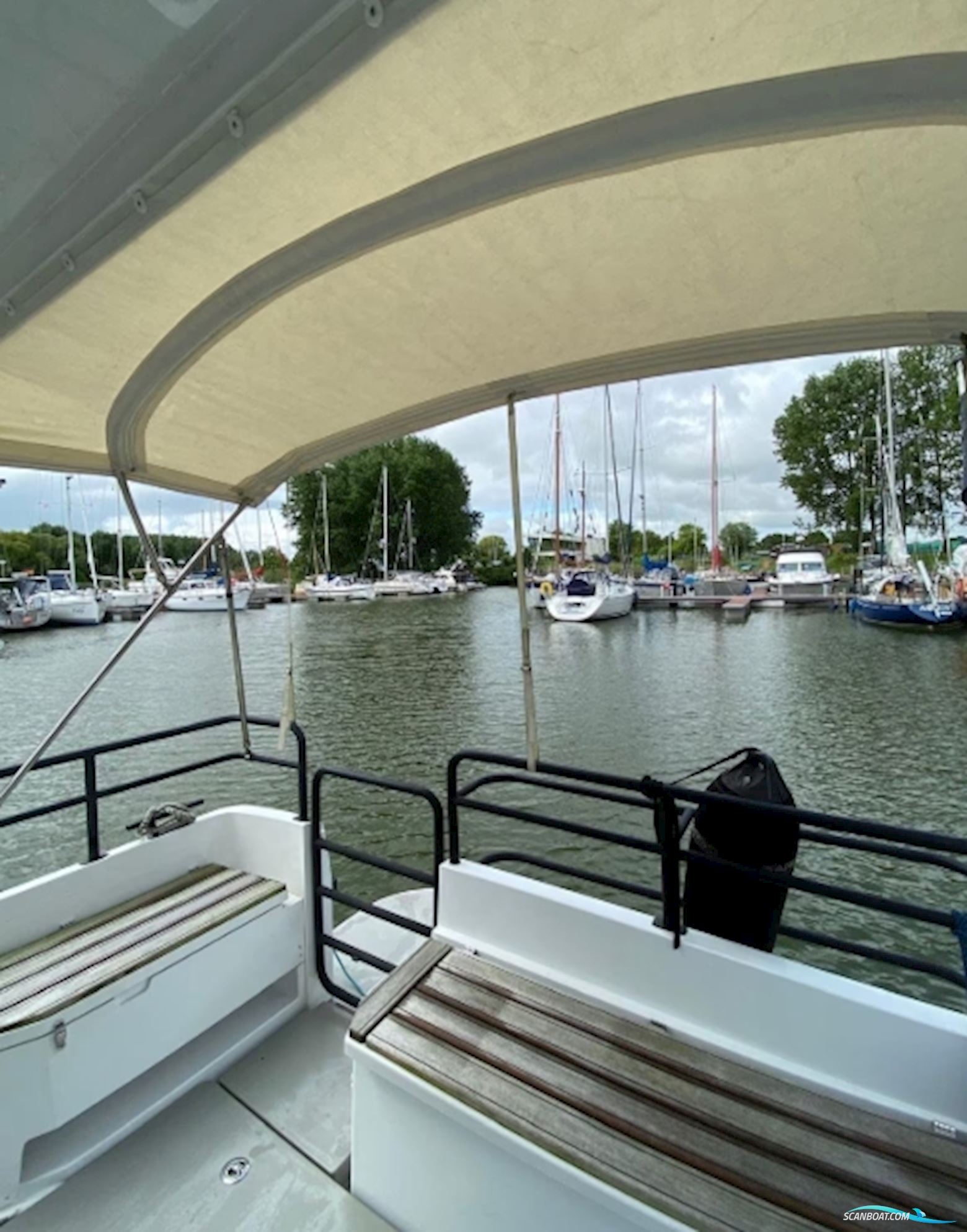 Sargo 33 Offshore
