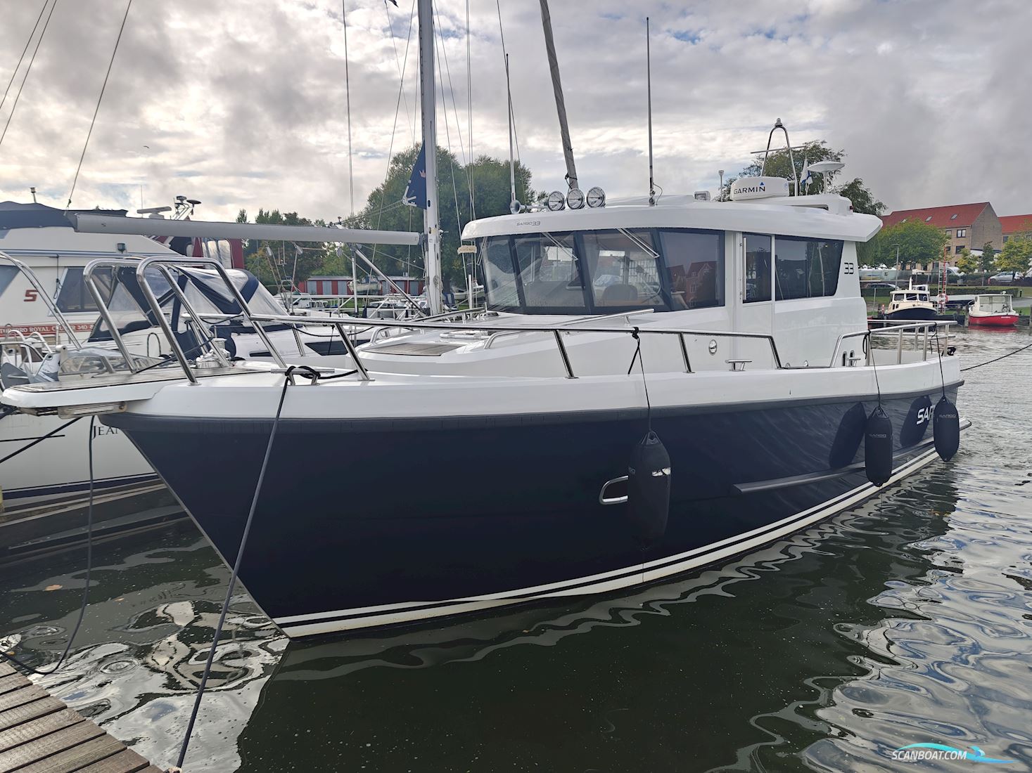 Sargo 33