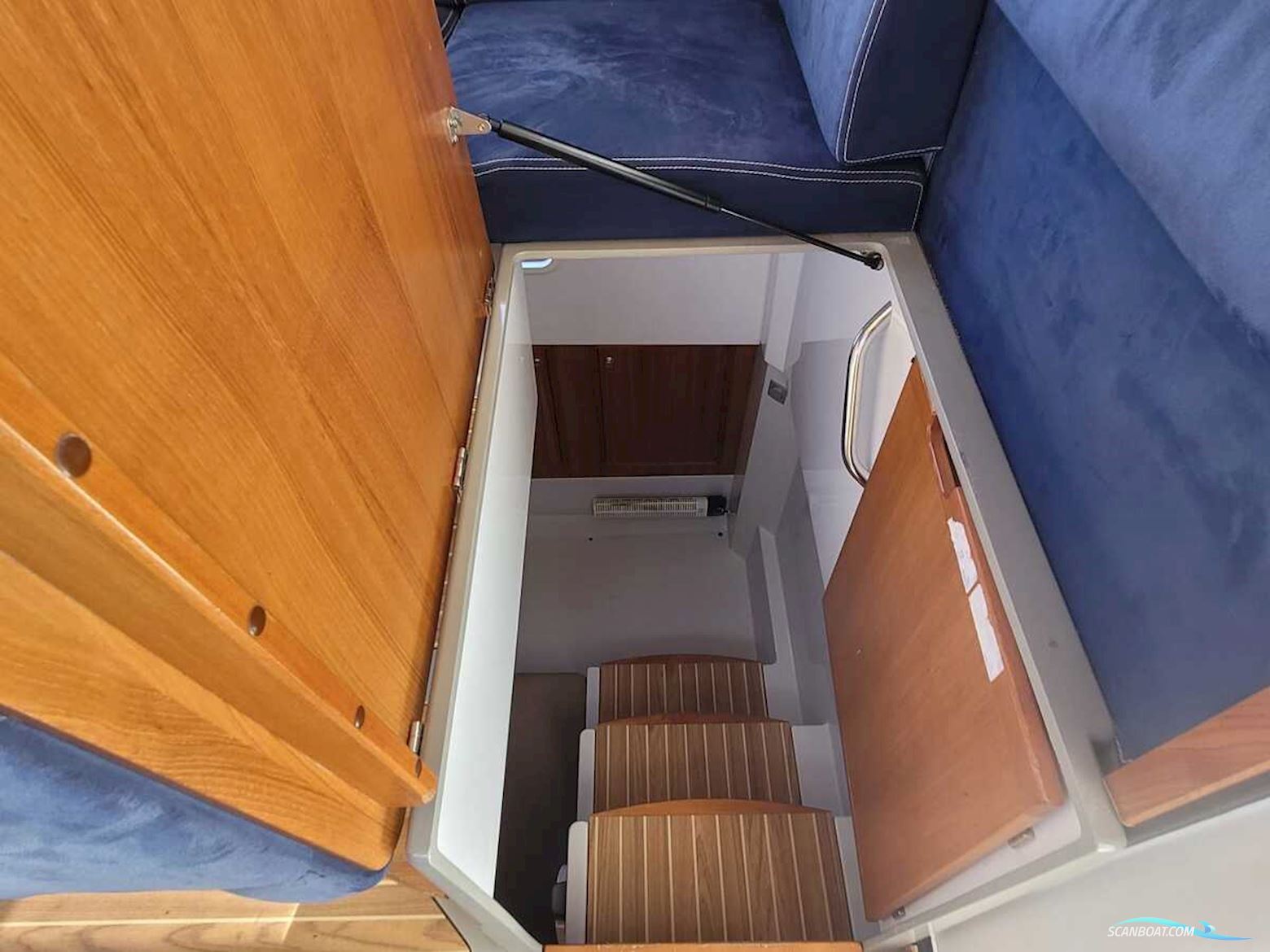 Sargo 36