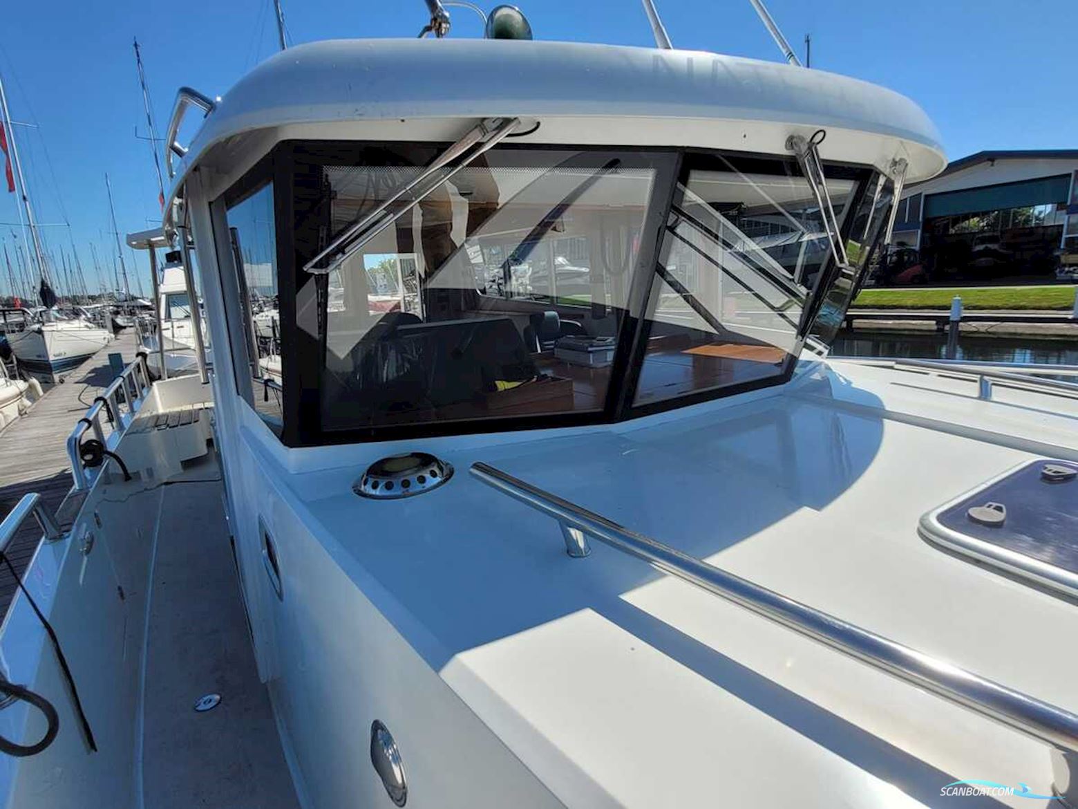 Sargo 36