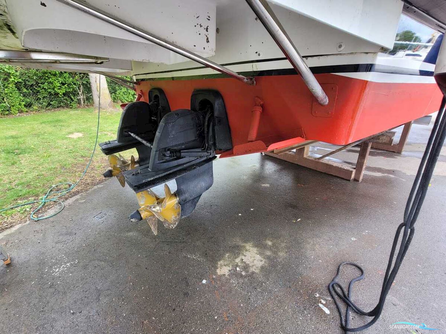 Sargo 36