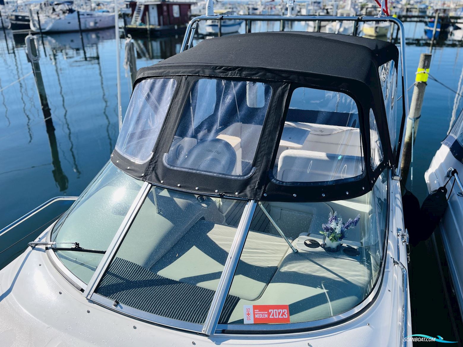 Sea Ray 260 Sundancer