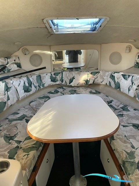 Sea Ray 260 Sundancer