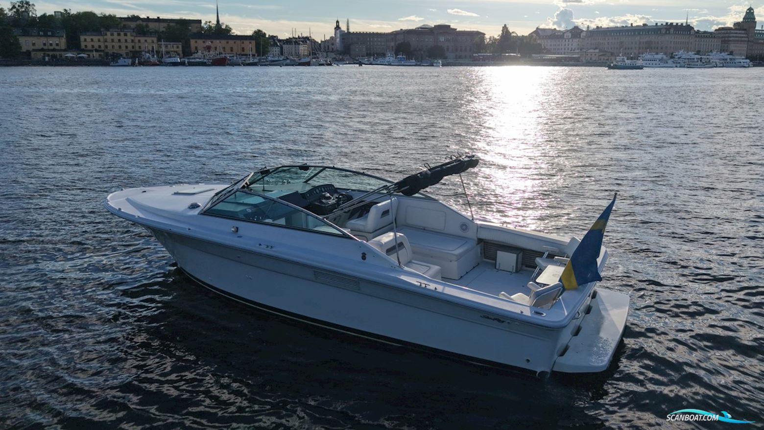 Sea Ray 310 Amberjack