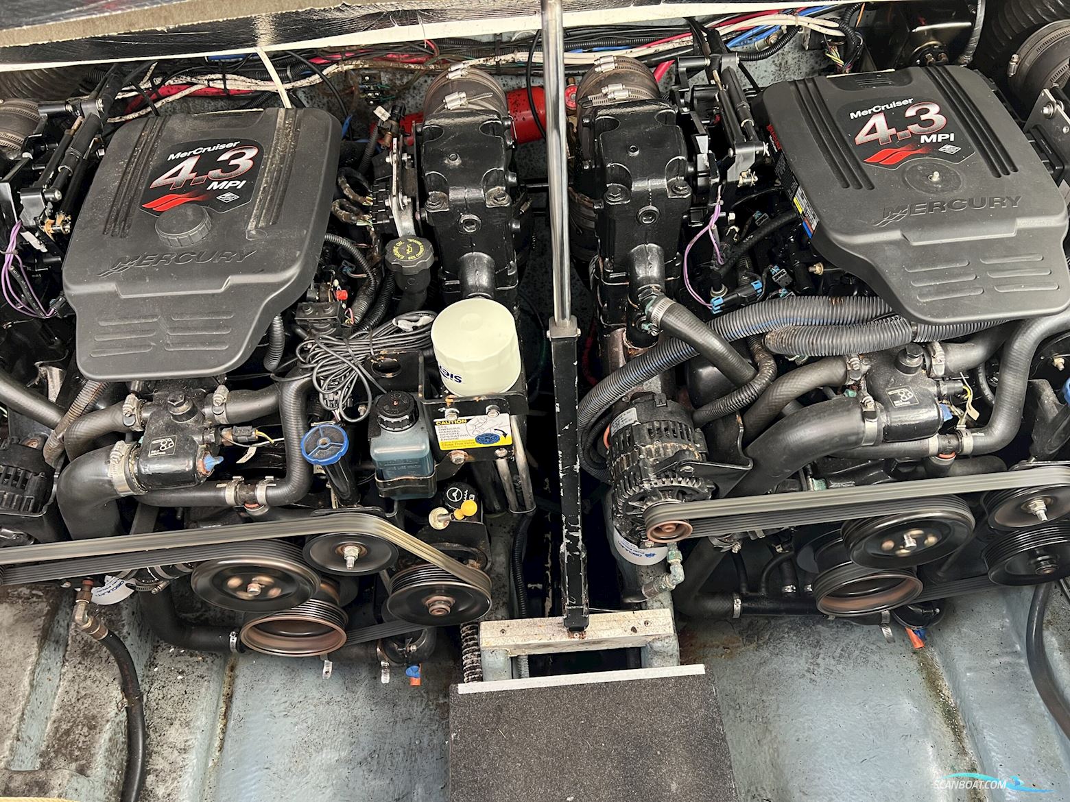 Sea Ray 315 Sundancer NY KALECHE