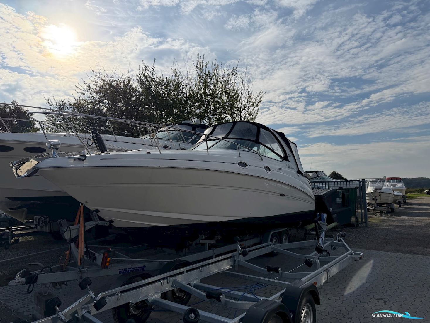 Sea Ray 315 Sundancer