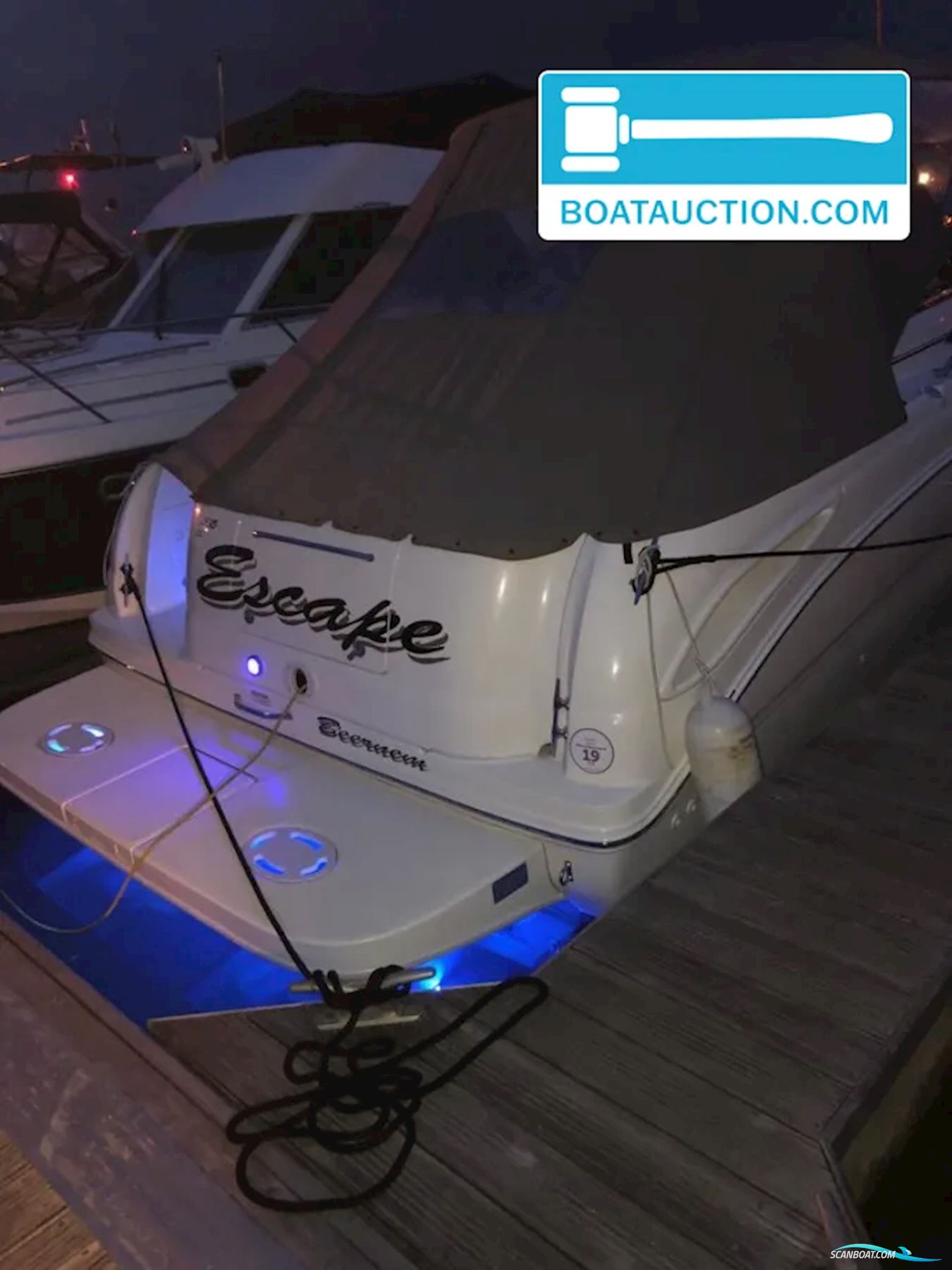 Sea Ray Amberjack 315