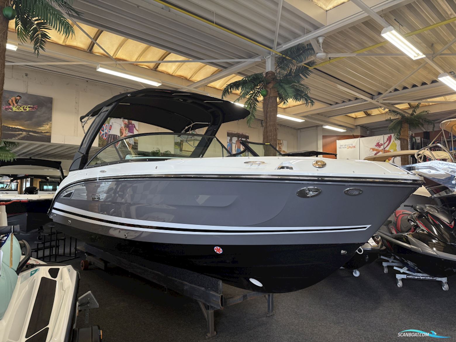 Sea Ray SDX 250 outboard