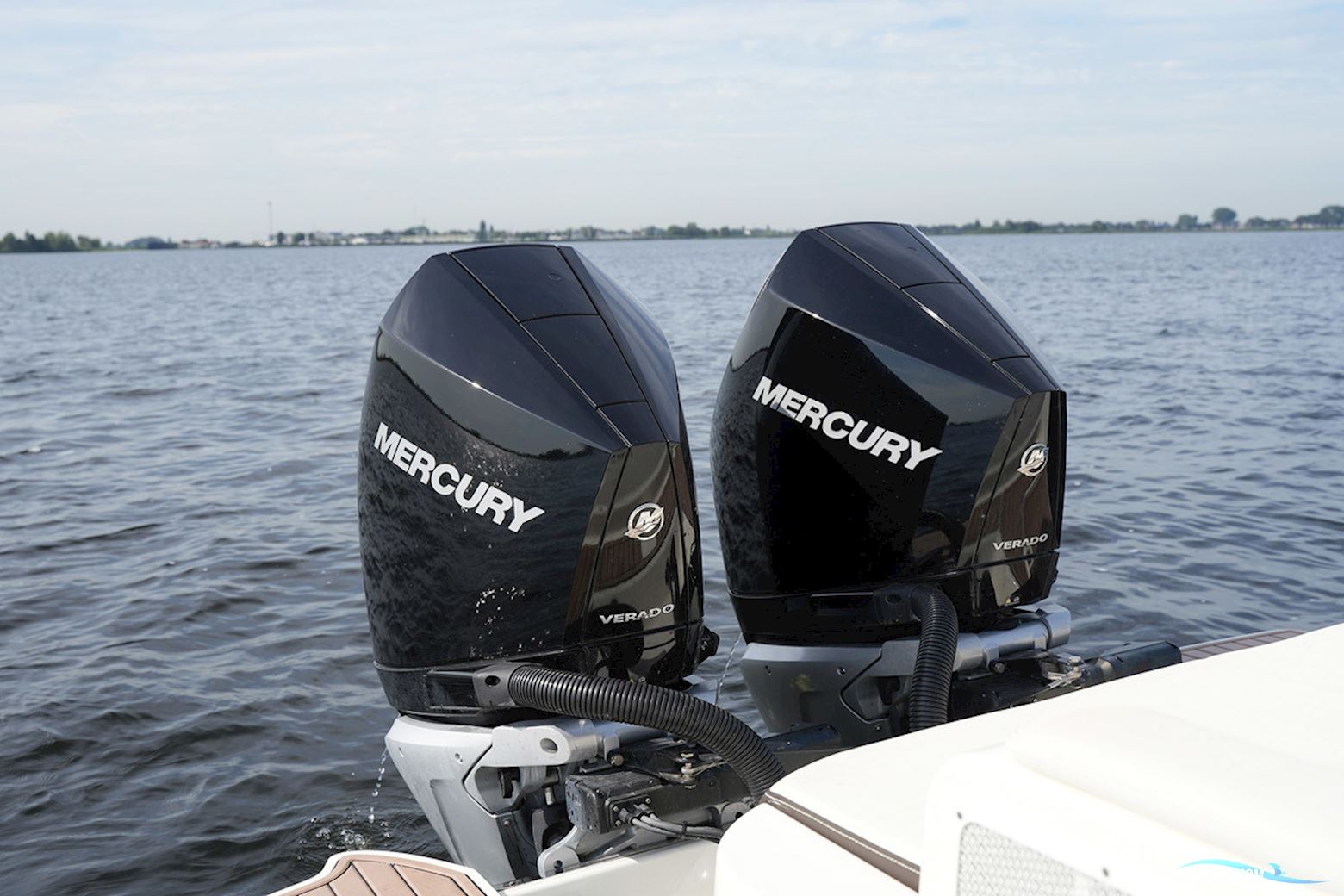 Sea Ray SDX 290 Outboard