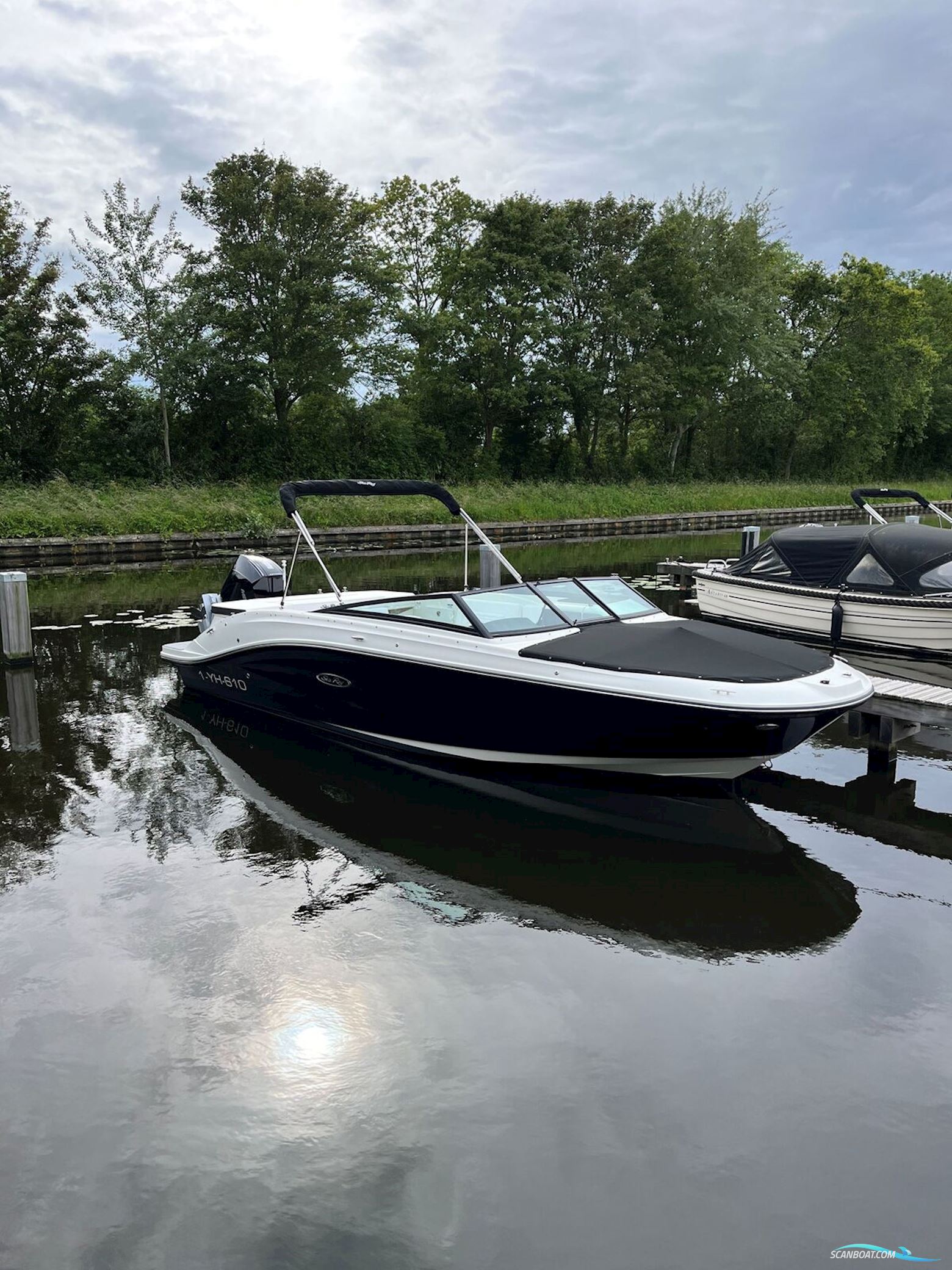 Sea Ray SPX 230 Outboard