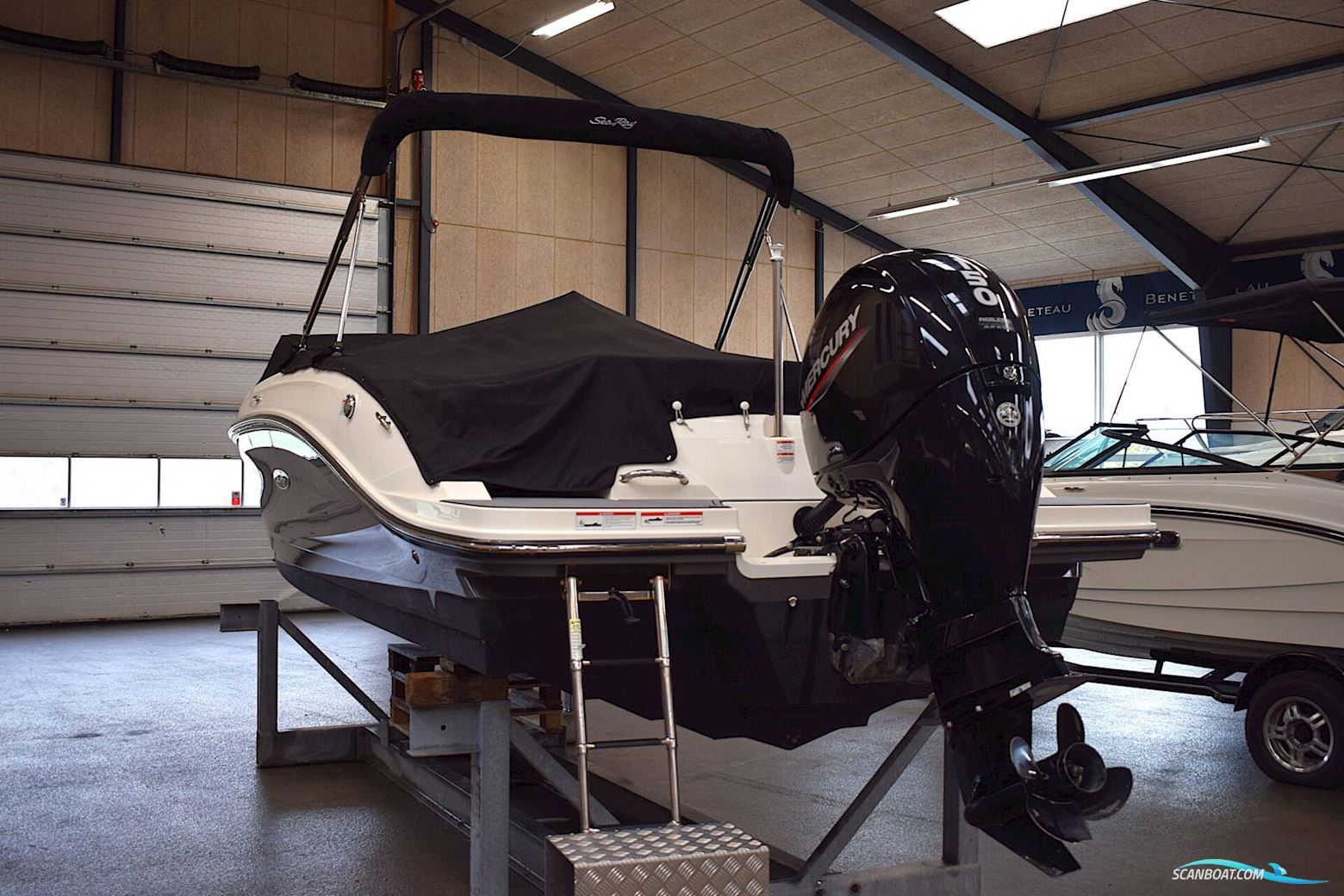 Sea Ray Spx 230 Outboard