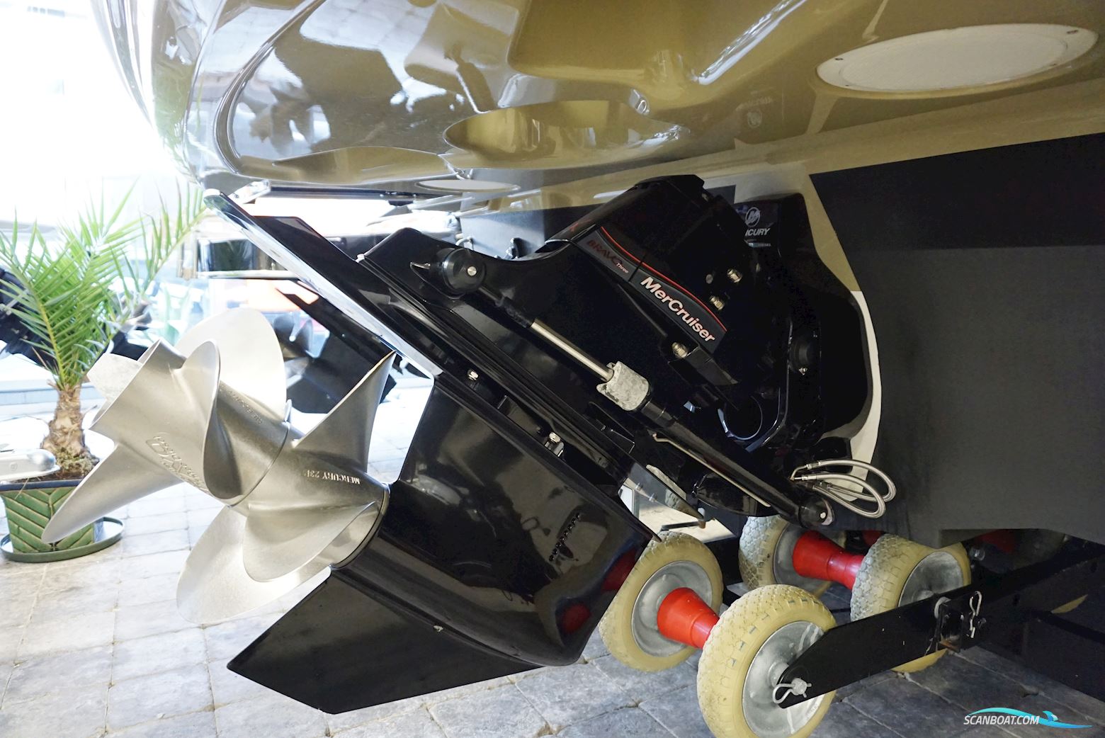 Sea Ray Sundancer 265 - Demo