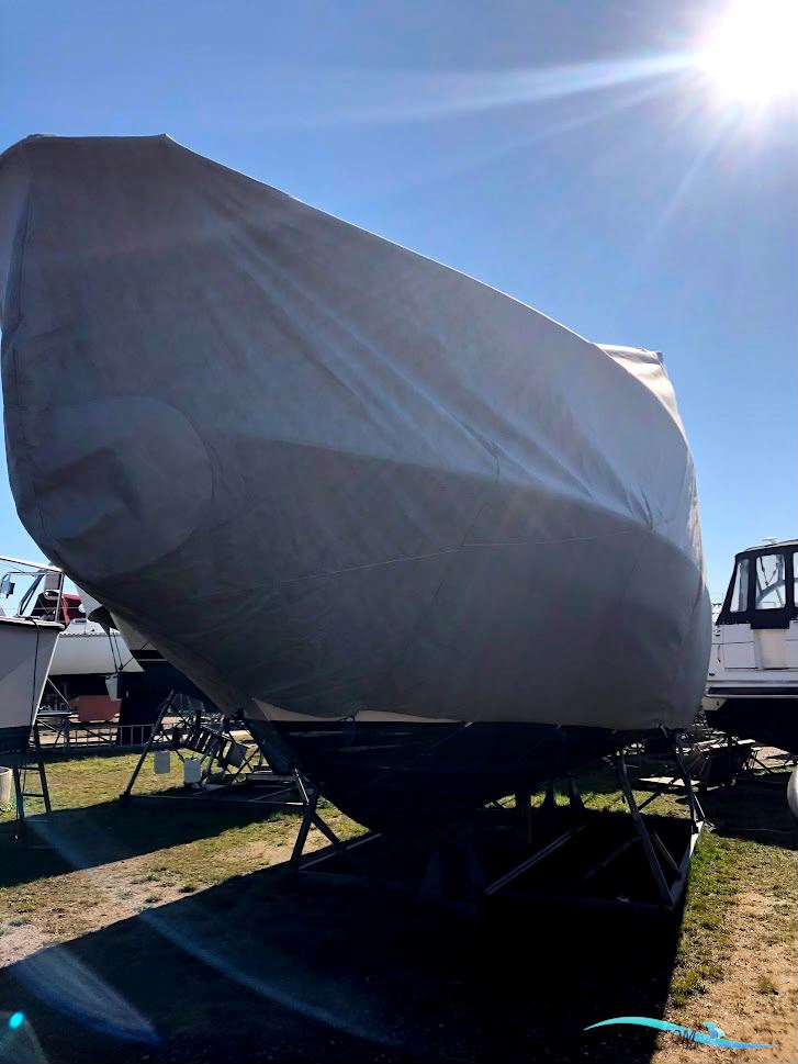 Sealine F37